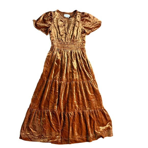 Anthropologie Somerset Velvet Maxi Dress size XS copper orange yellow honey tier - Picture 7 of 11